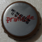 Privilege Kapak