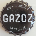 Did you mean? Gazoz