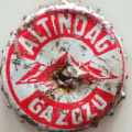 ALTINDAĞ GAZOZU