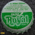 rc royal gazoz