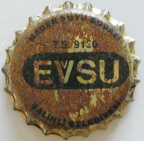 Evsu 